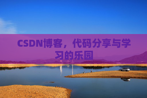 CSDN博客，代码分享与学习的乐园